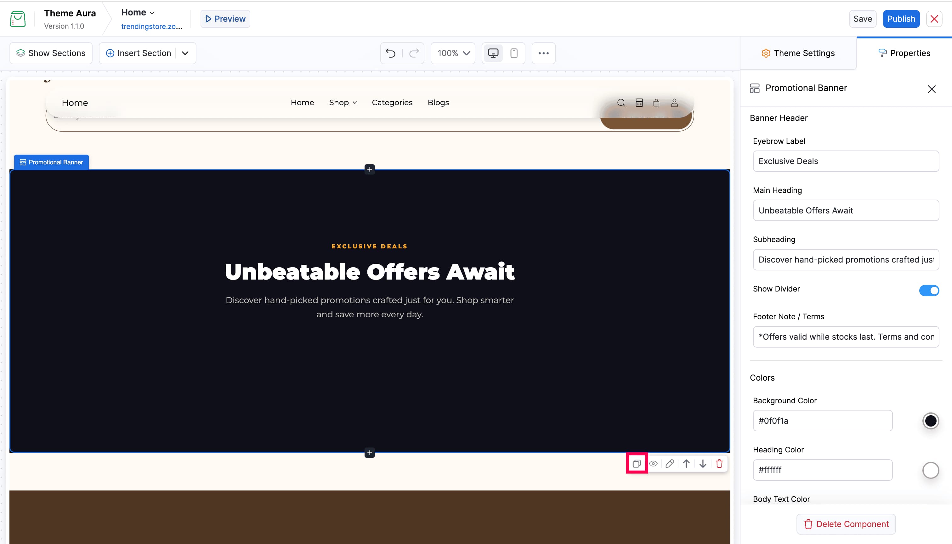 Custom Section Copy