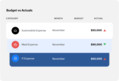 Budget versus actuals dashboard comparing spending categories and visual budget indicators for nonprofit programs.